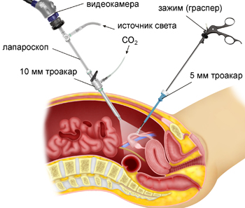 ����������������� ������� ������������