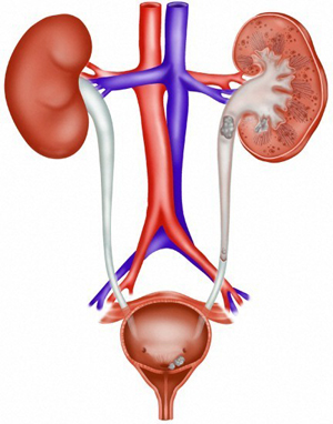 ������� ������������������� ������